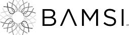 BAMSI_logo